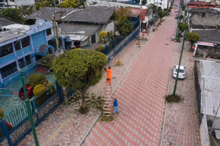 Puyo fortalece la protección de su arbolado urbano