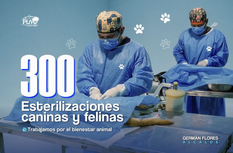 TRABAJAMOS POR EL BIENESTAR ANIMAL: 300 ESTERILIZACIONES CANINAS Y FELINAS